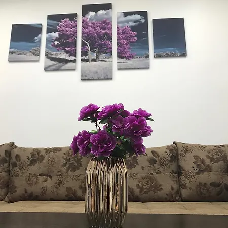 Arena Apartment